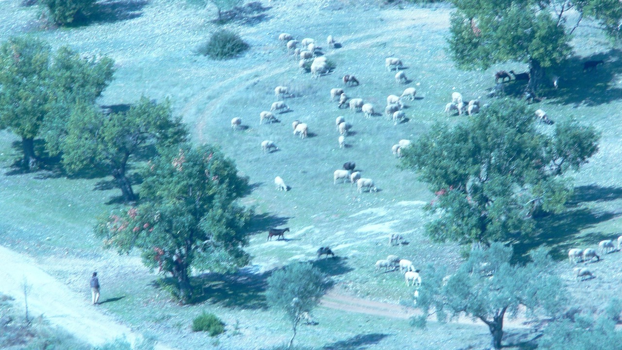 Photo of Outdoor in Kilada