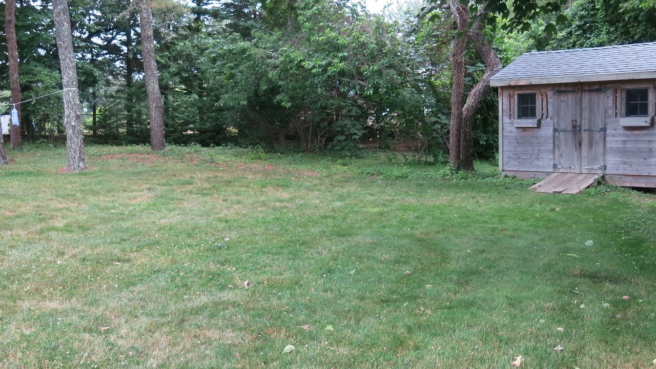 Photo of Others in West Chatham