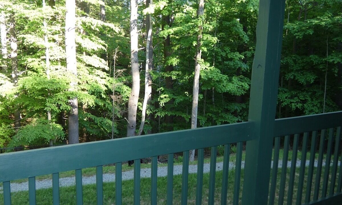 Photo of Outdoor in Bolton Landing