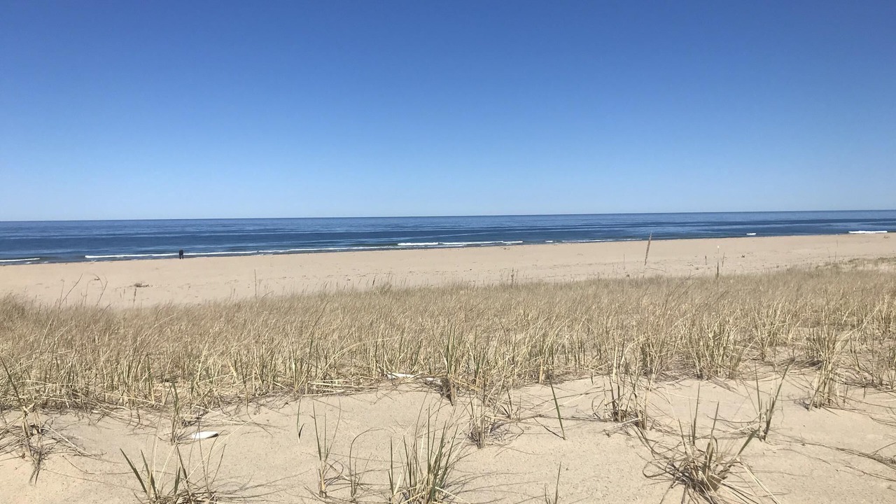 Photo of Others in North Truro