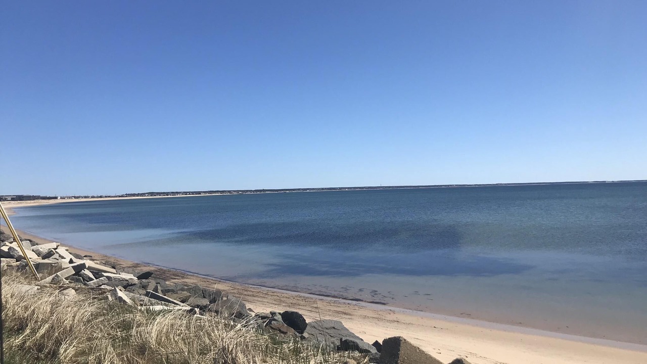 Photo of Others in North Truro