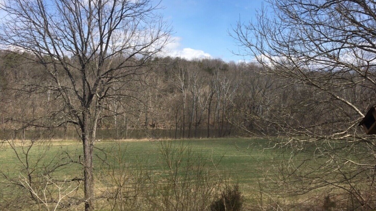 Photo of Others in Lexington