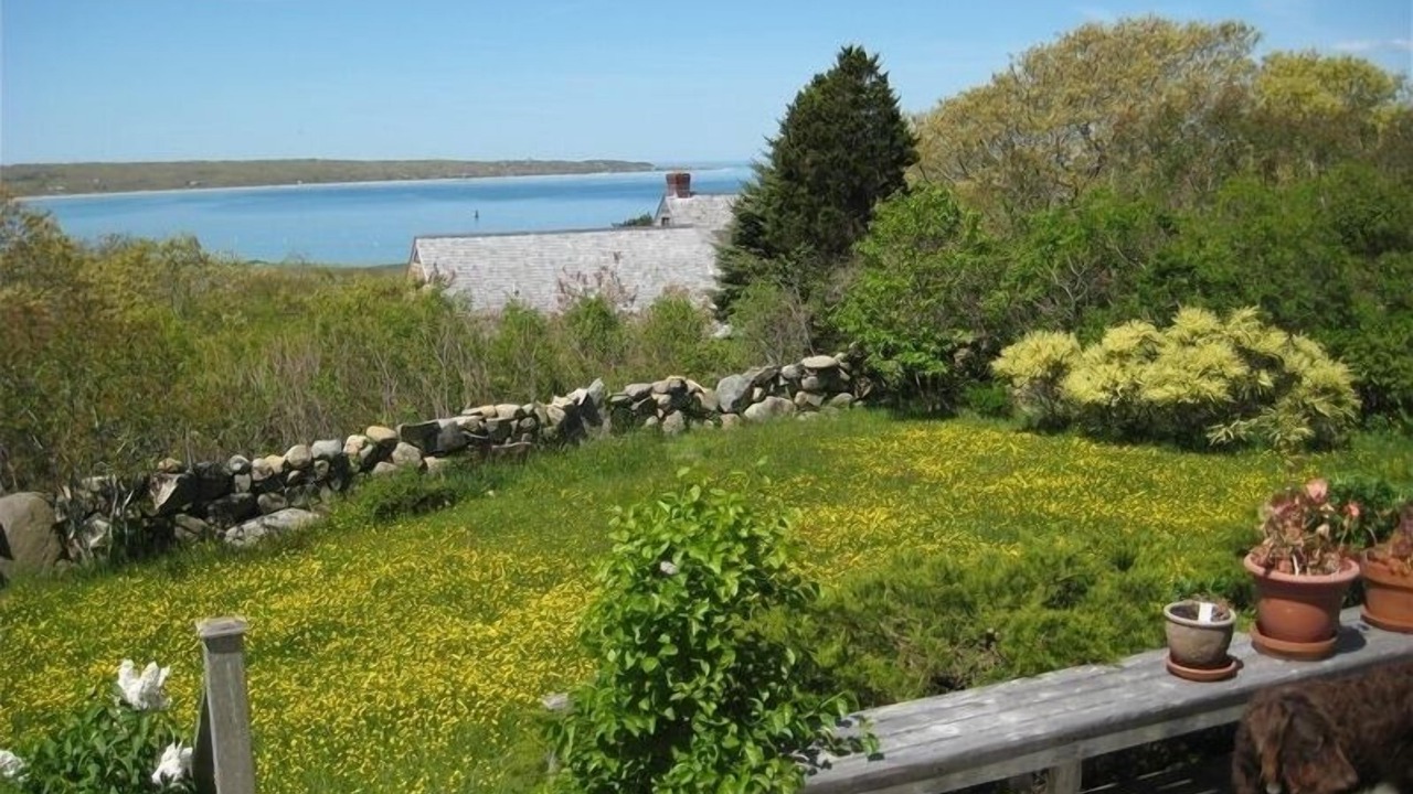 Photo of Others in Chilmark
