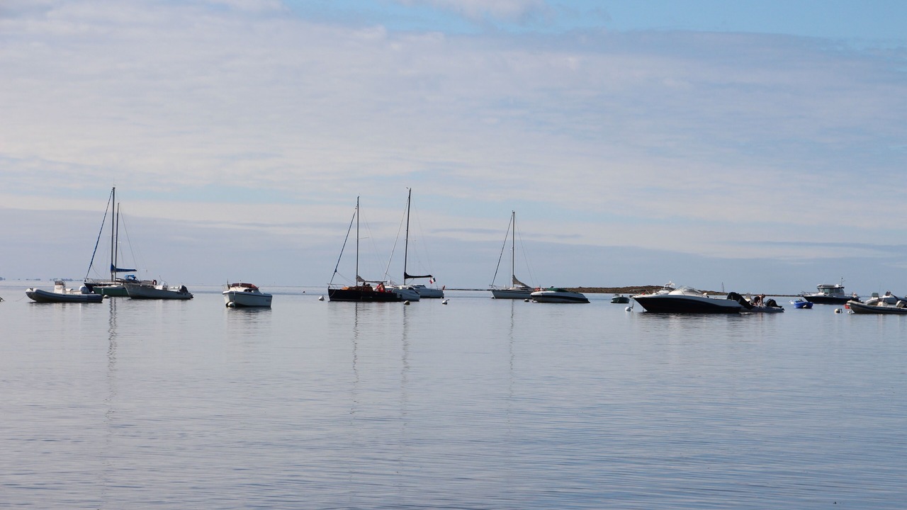 Photo of Others in Sarzeau