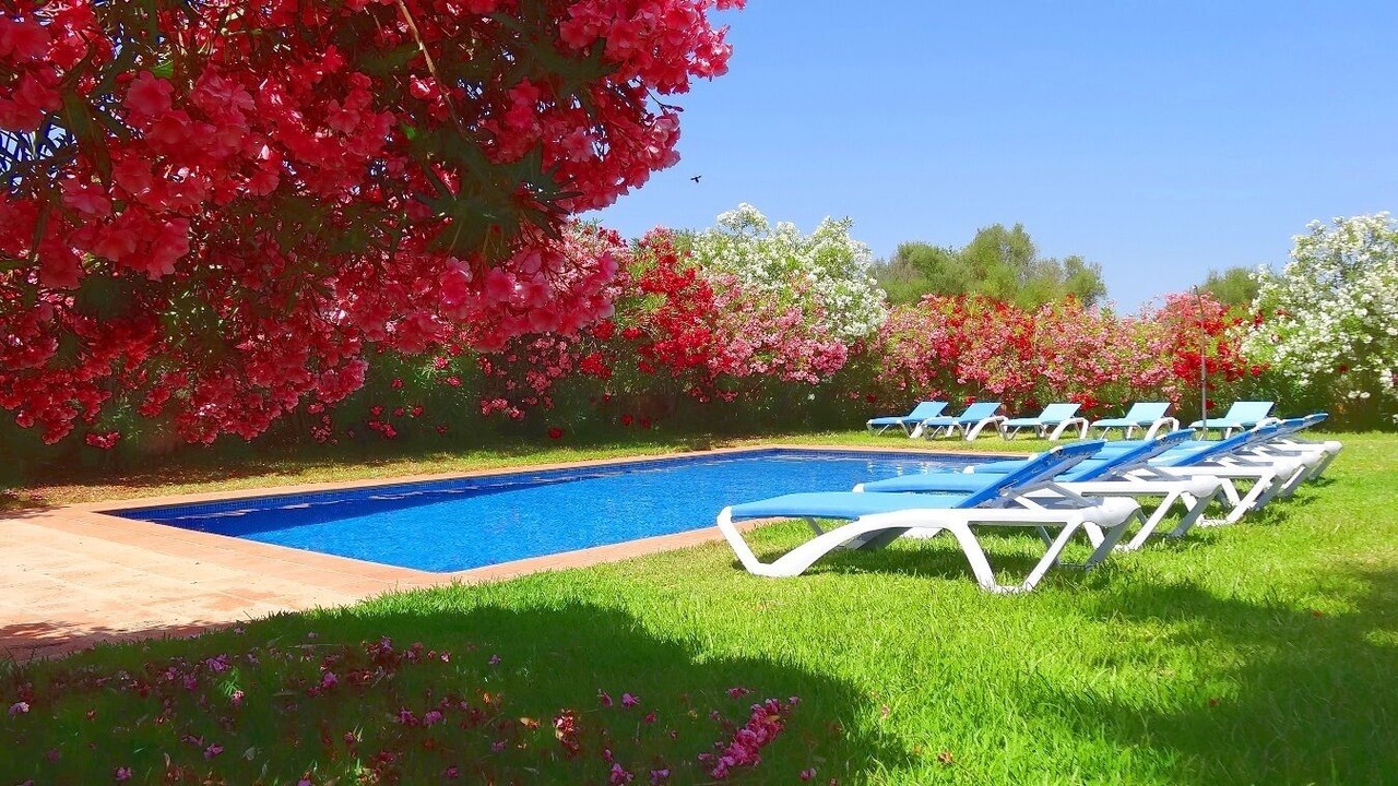 Photo of Outdoor in Campos
