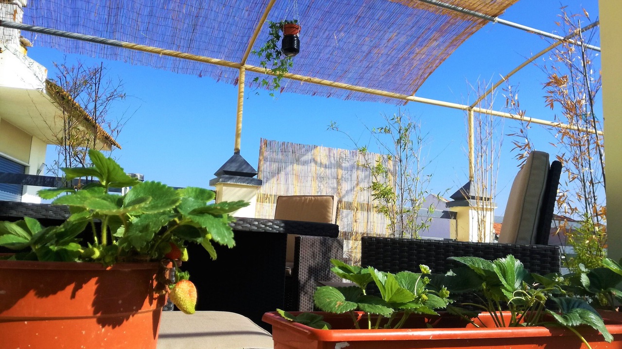 Photo of Patio Balcony in Arrentela