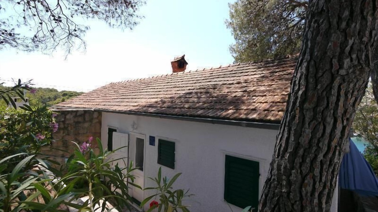 Photo of Others in Milna (Brac)