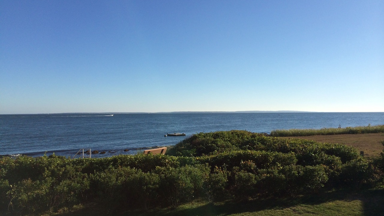 Photo of Outdoor in East Falmouth
