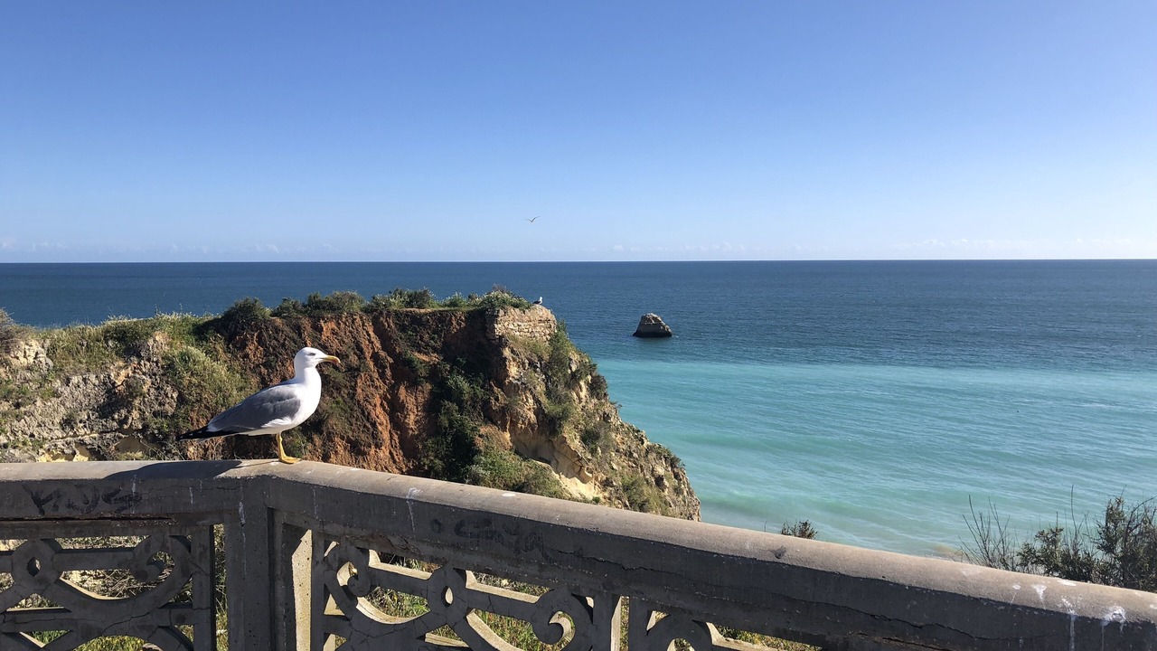 Photo of Outdoor in Praia da Rocha
