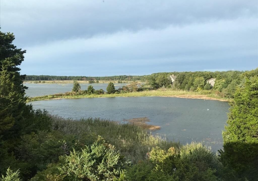 Photo of Others in Eastham