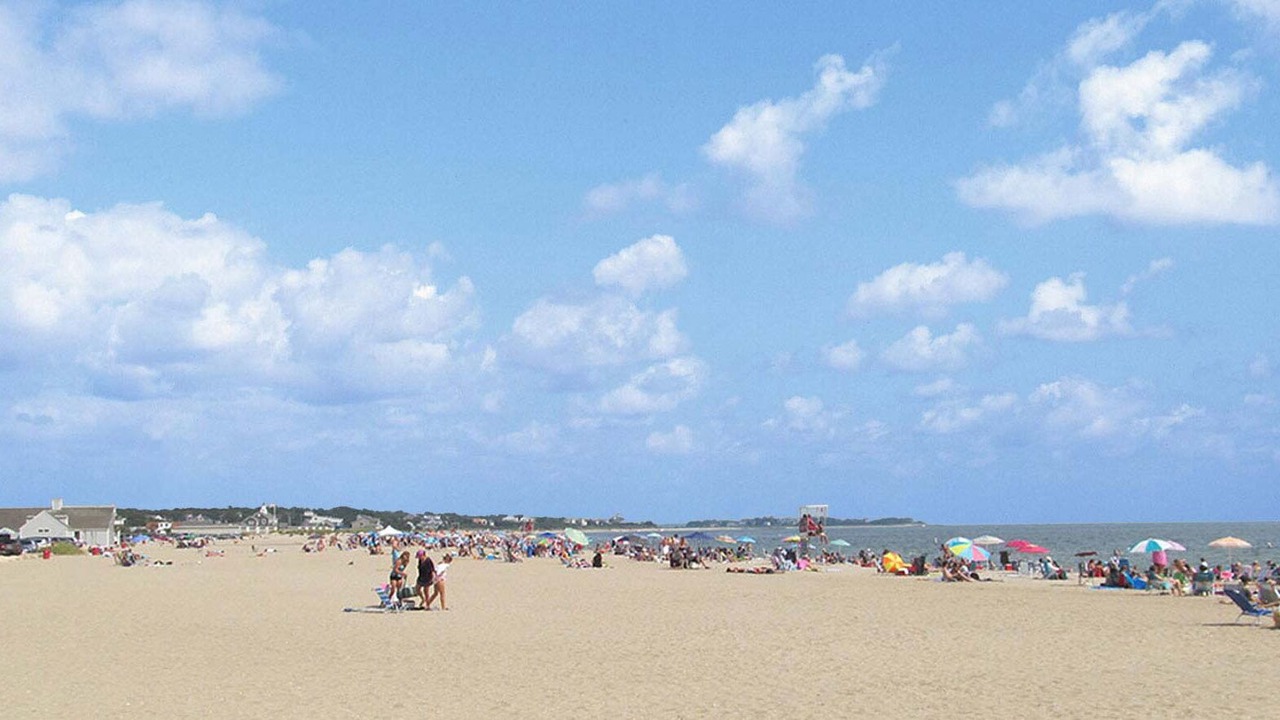 Photo of Others in Hyannis
