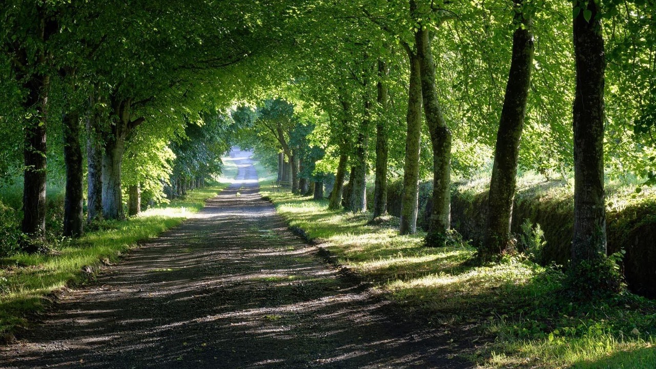 Photo of Others in Tredarzec