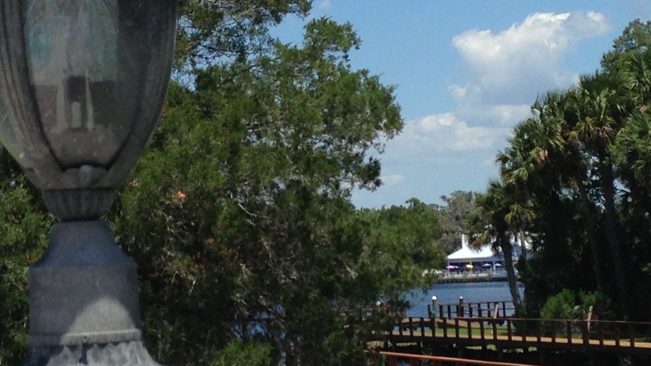 Photo of Outdoor in Homosassa