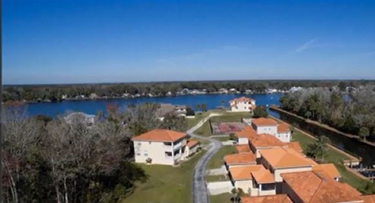 Photo of Others in Homosassa