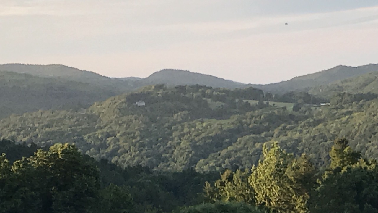 Photo of Outdoor in Williamsville