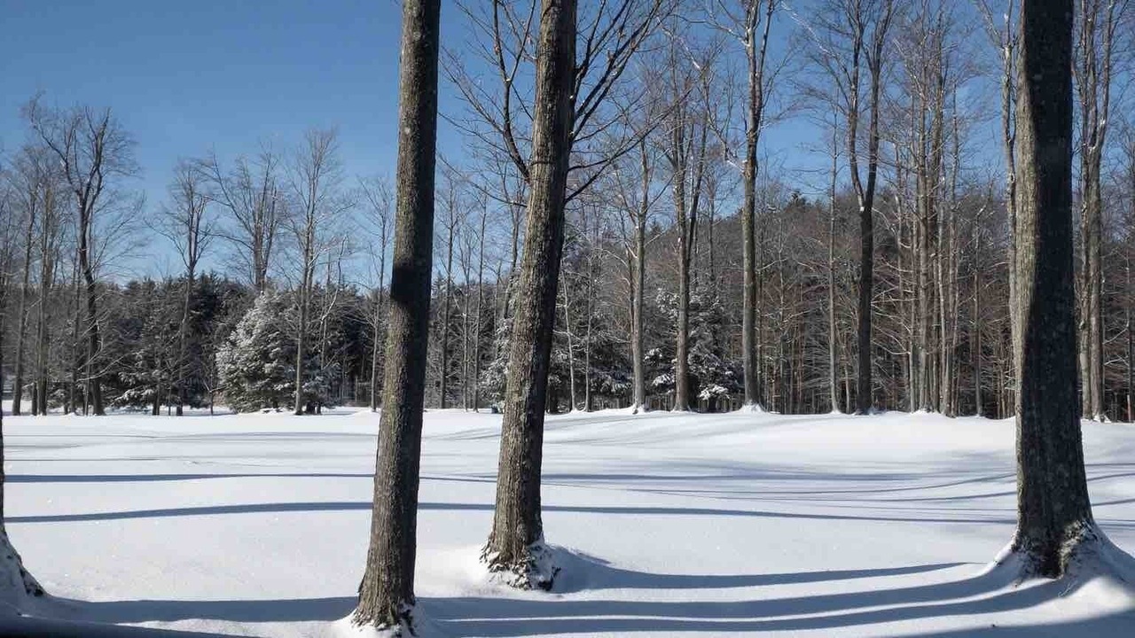Photo of Others in Clymer