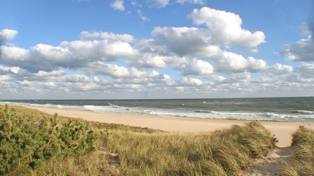 Photo of Others in Amagansett