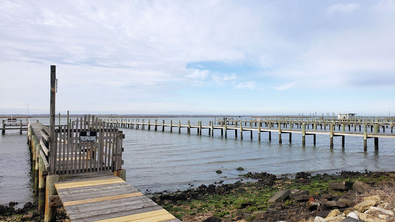 Photo of Others in Chincoteague