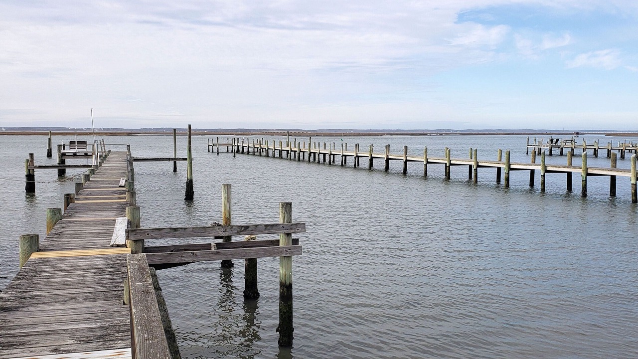 Photo of Others in Chincoteague