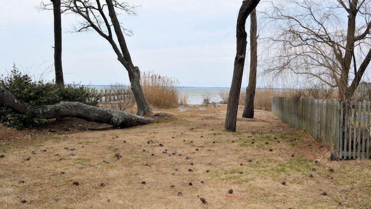 Photo of Outdoor in Chincoteague