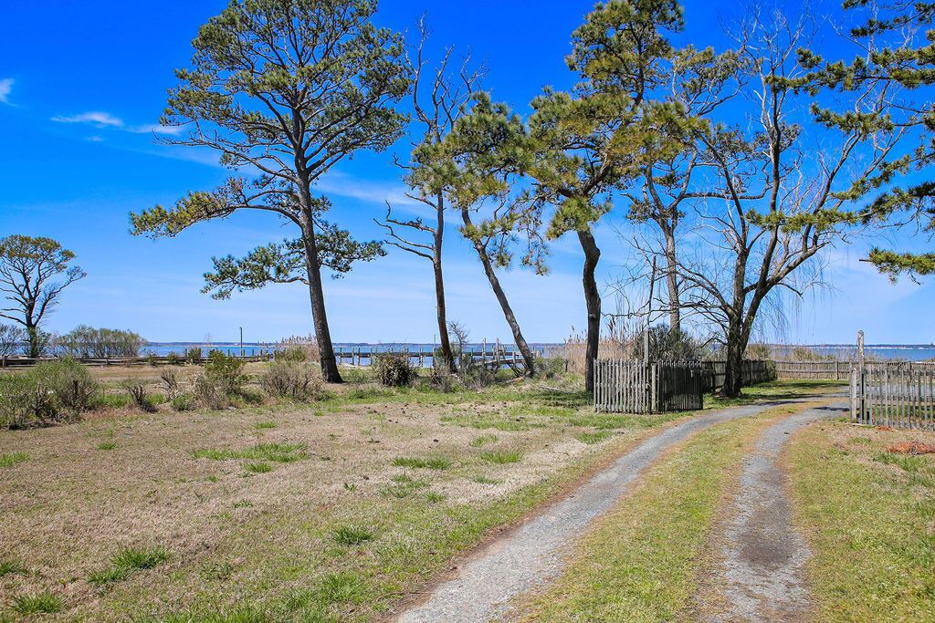 Photo of Outdoor in Chincoteague