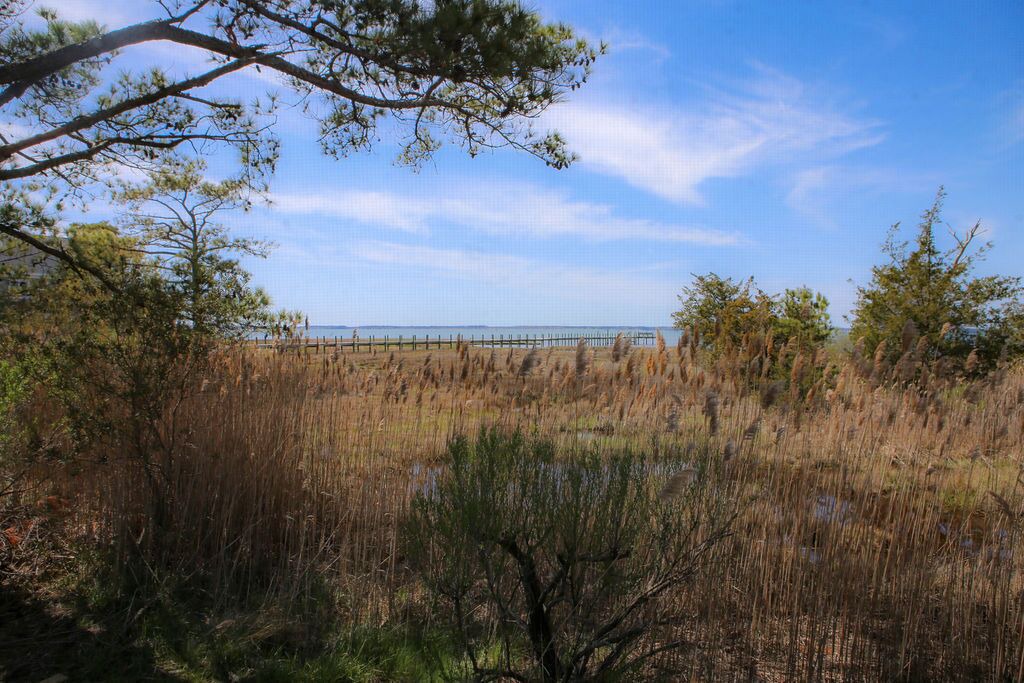 Photo of Others in Chincoteague
