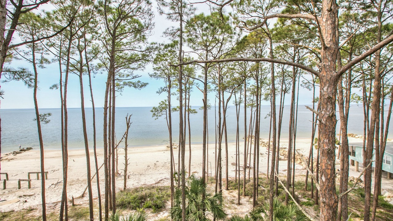 Photo of Others in Alligator Point