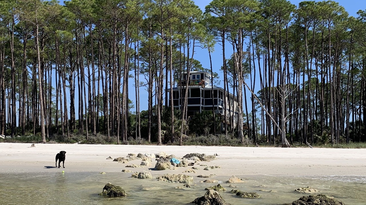 Photo of Others in Alligator Point
