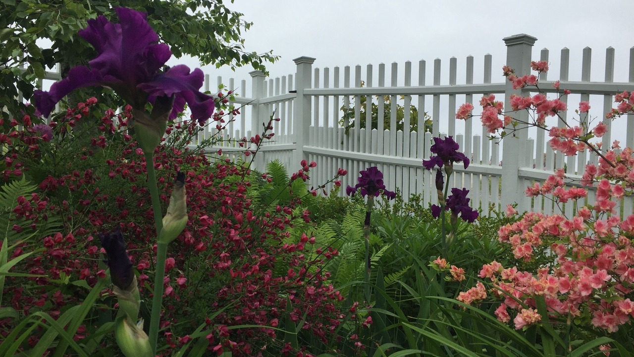 Photo of Outdoor in Hull