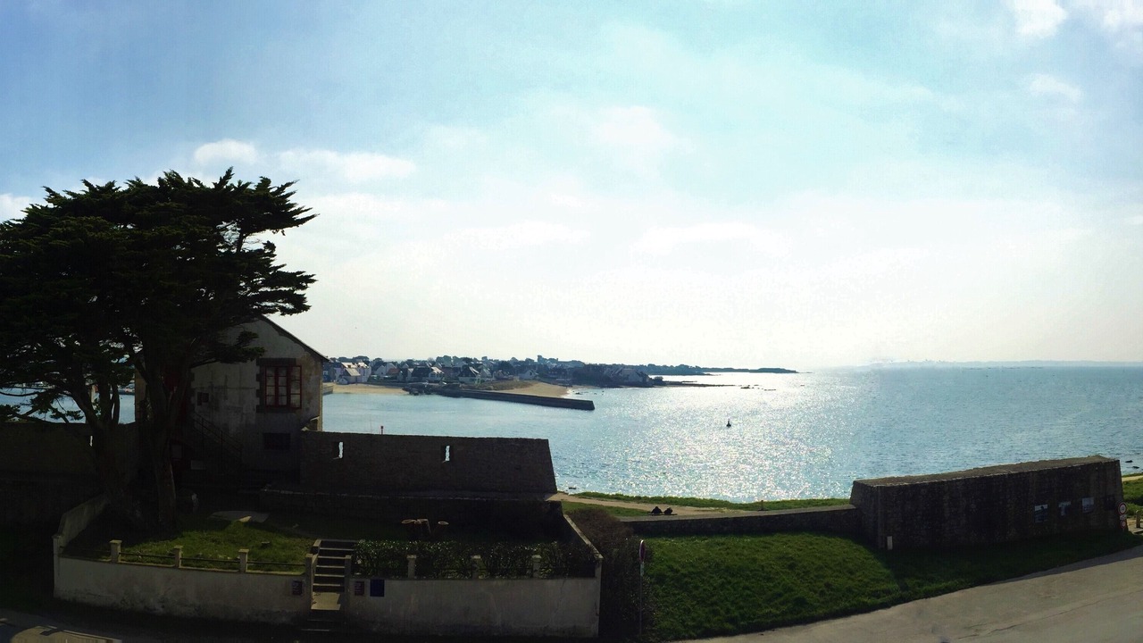 Photo of Others in Port-Louis