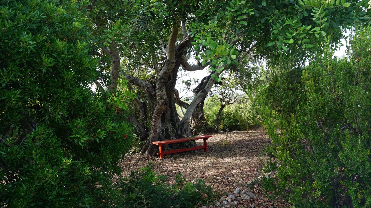Photo of Outdoor in Vale de Seixos