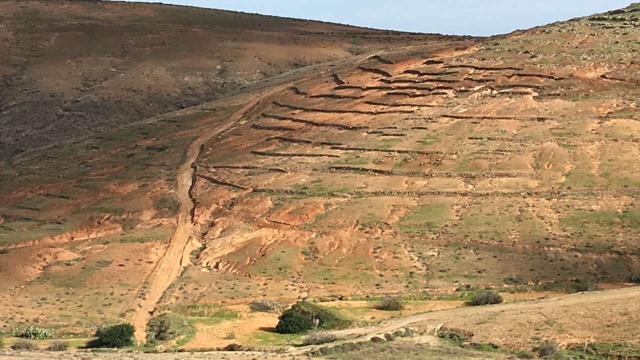 Photo of Outdoor in Bahia Calma