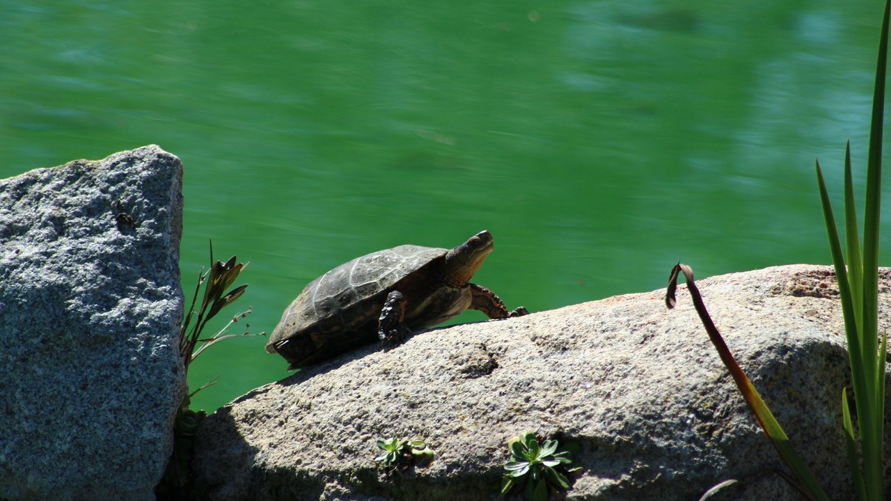 Photo of Outdoor in Sousel