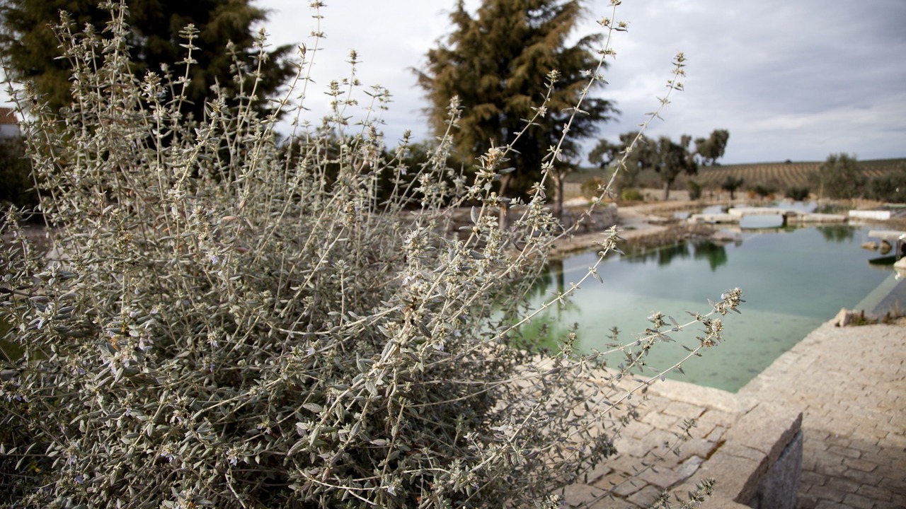 Photo of Outdoor in Sousel