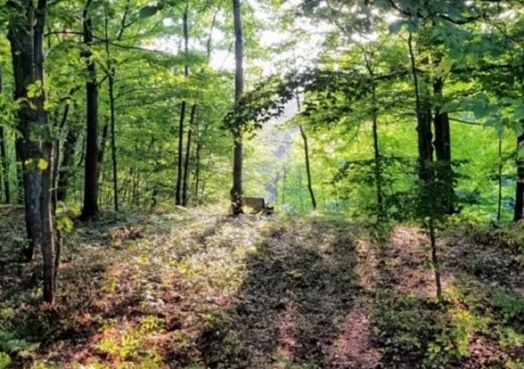 Photo of Outdoor in Thompsonville
