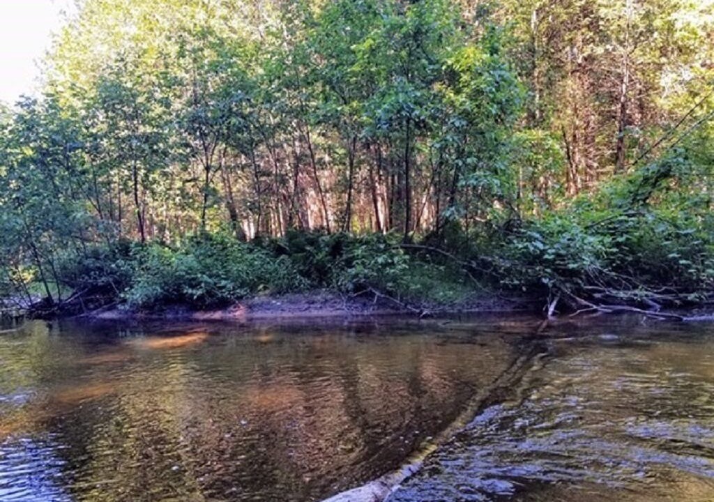 Photo of Others in Thompsonville