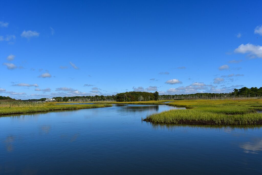 Photo of Outdoor in South Dennis