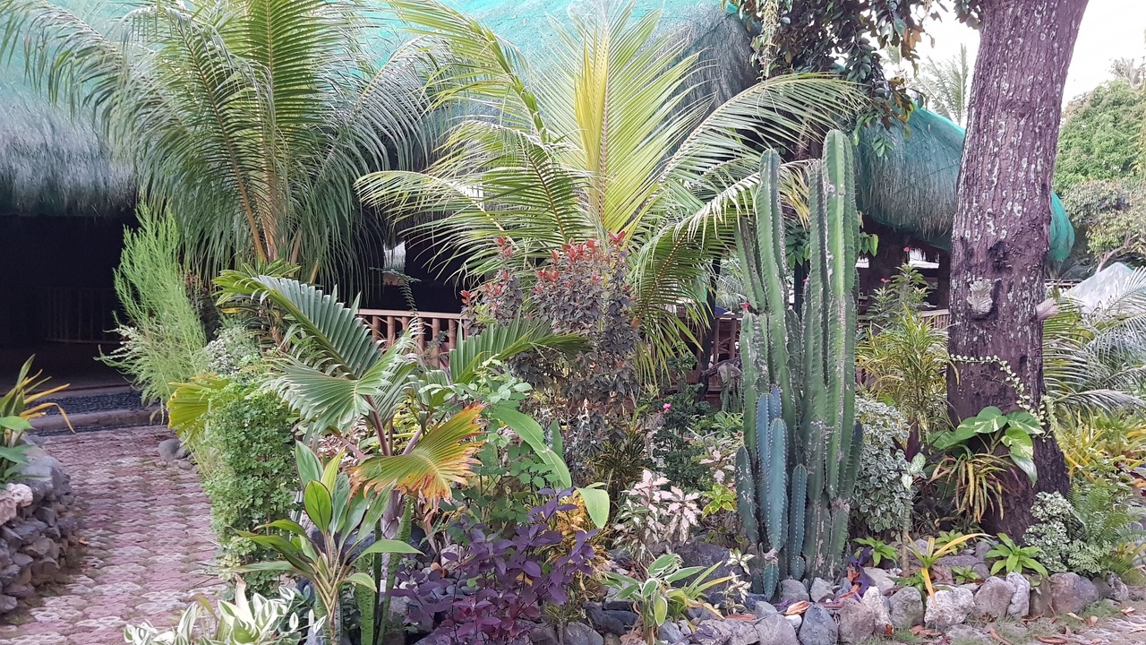 Photo of Outdoor in Looc