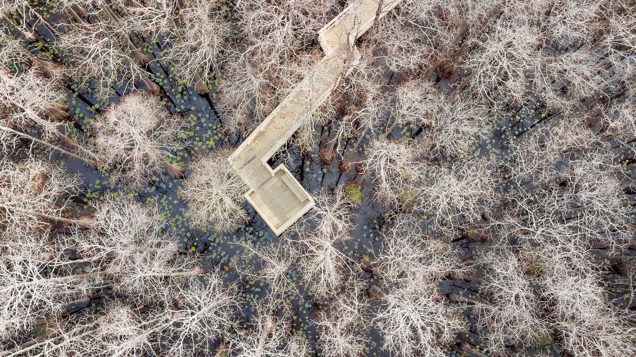 Photo of Outdoor in Dune Allen Beach
