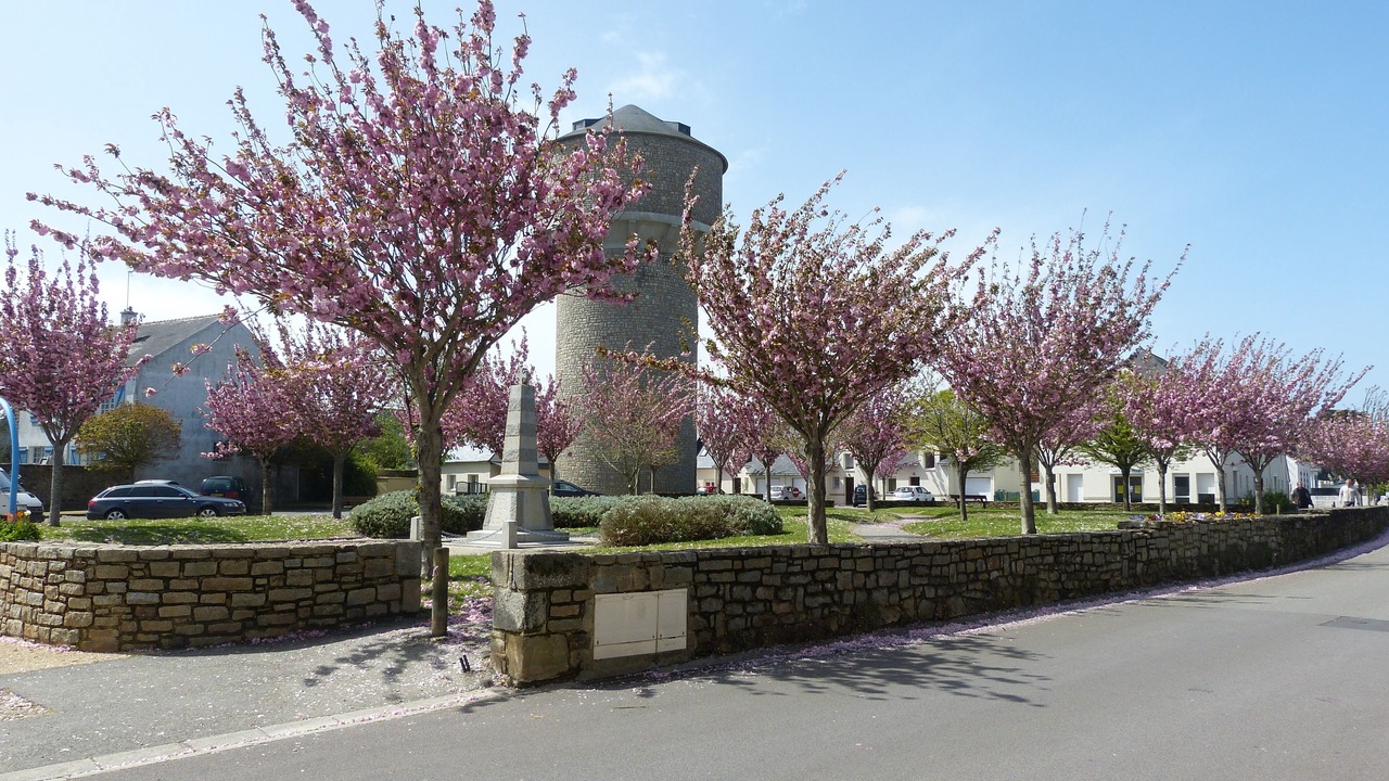 Photo of Outdoor in Damgan