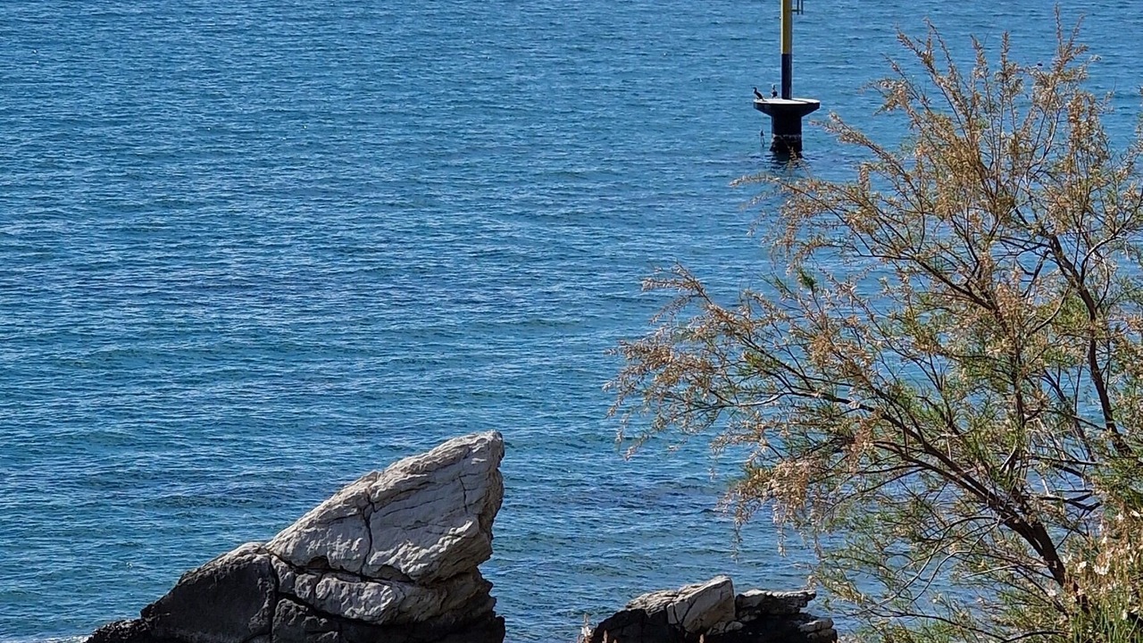 Photo of Others in Stobrec