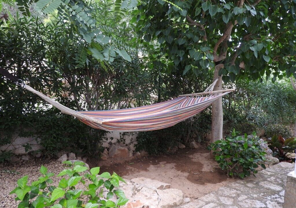 Photo of Outdoor in Pedreguer