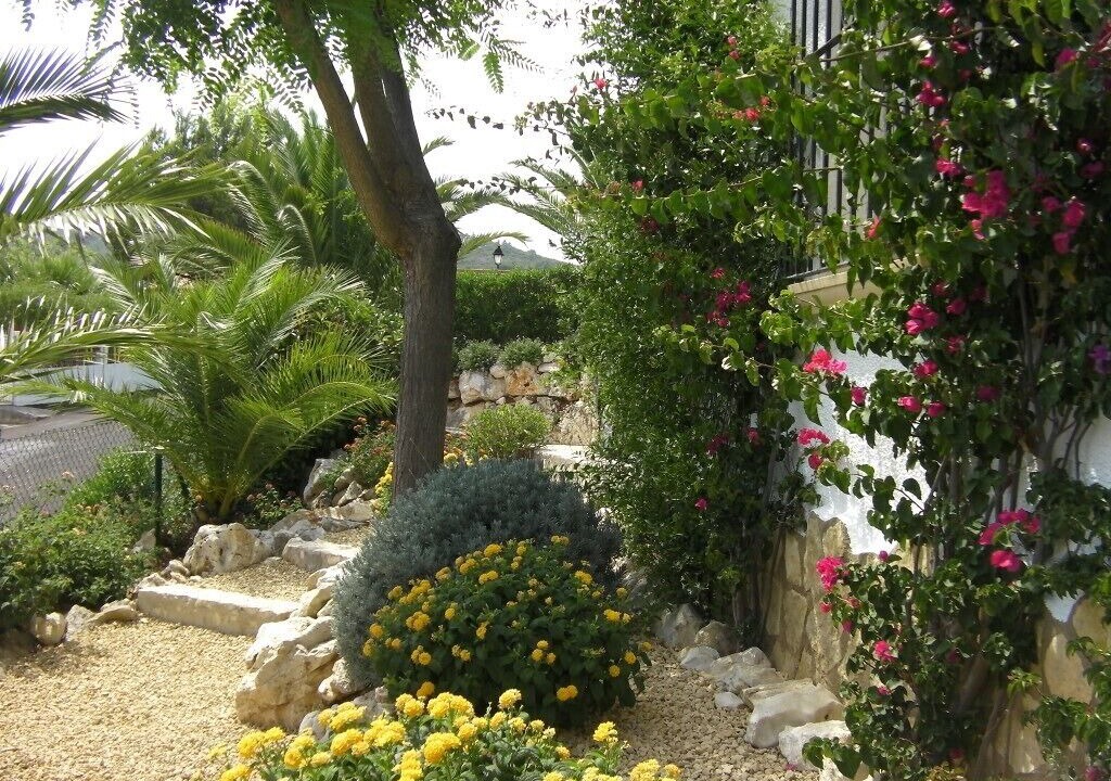 Photo of Outdoor in Pedreguer