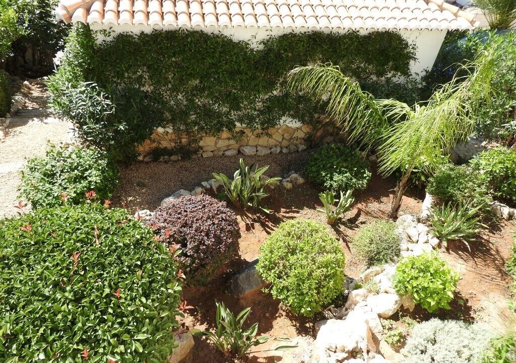 Photo of Outdoor in Pedreguer