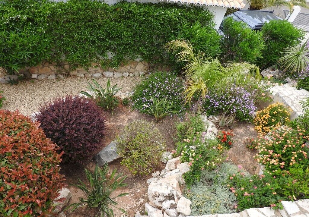 Photo of Outdoor in Pedreguer