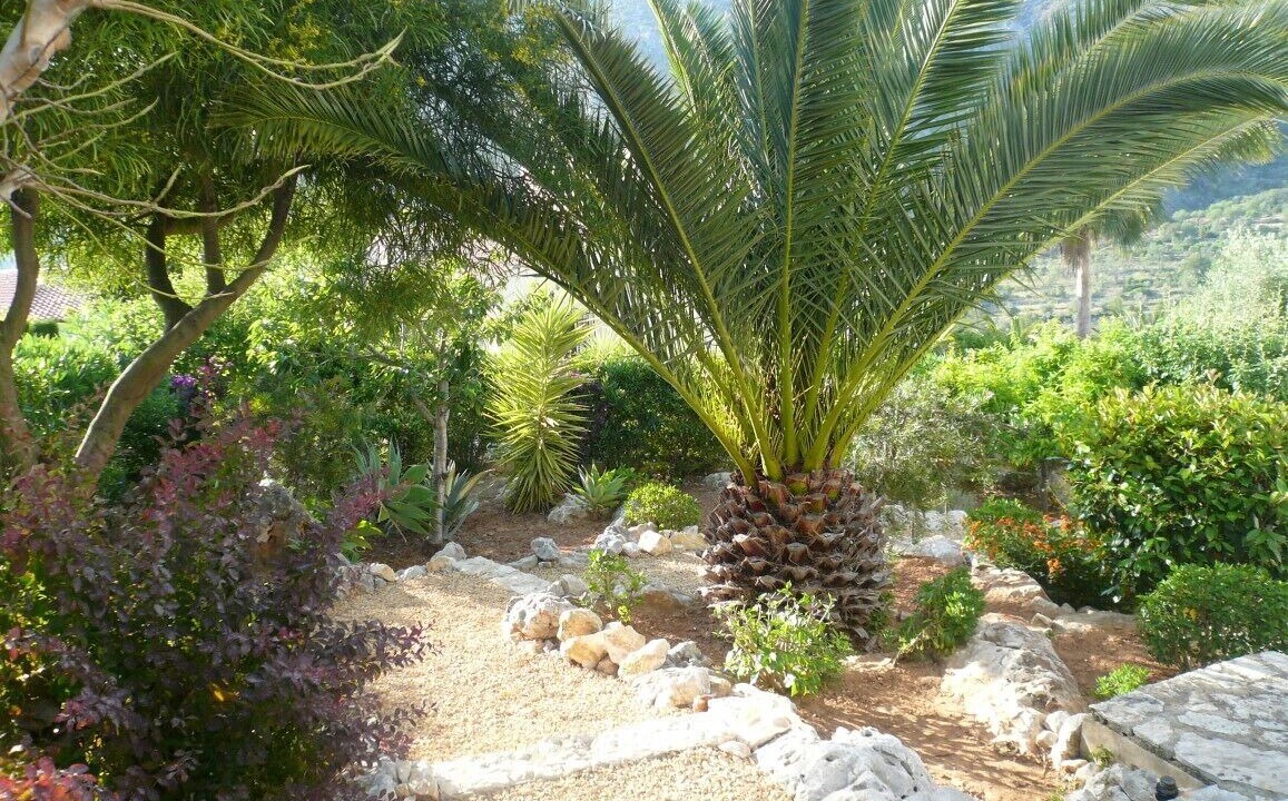 Photo of Outdoor in Pedreguer