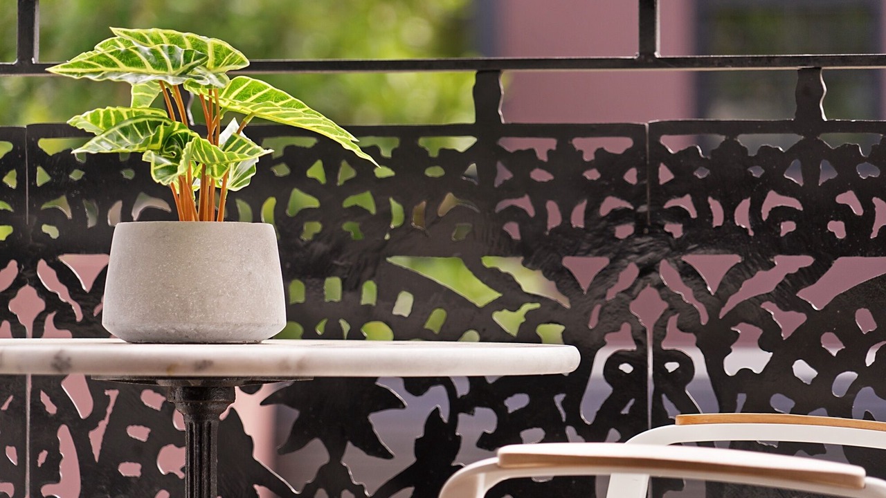 Photo of Patio Balcony in Glebe