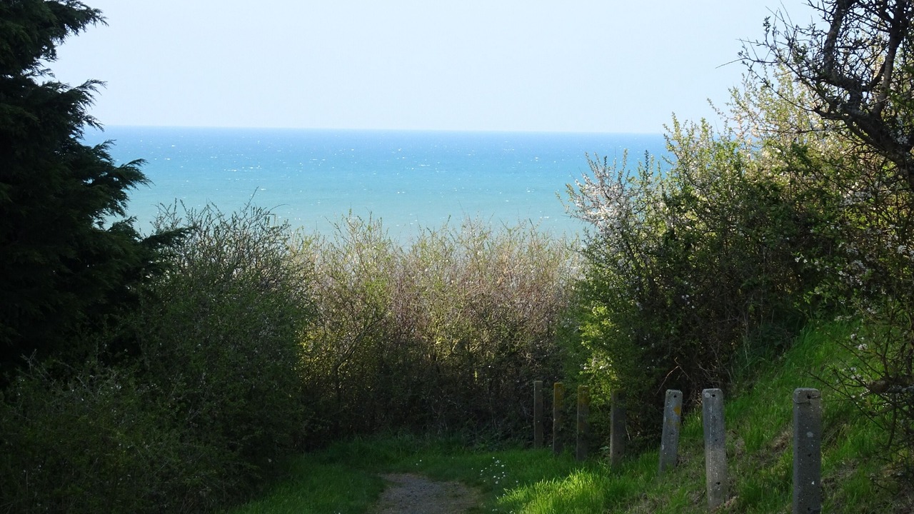 Photo of Outdoor in Hillion