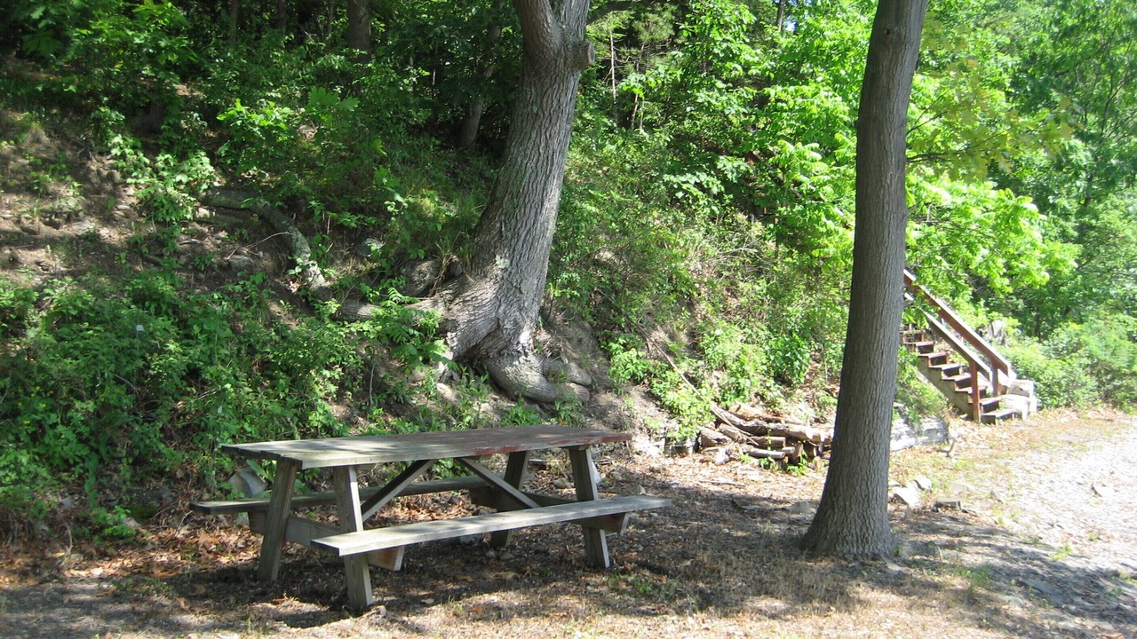 Photo of Others in Burdett
