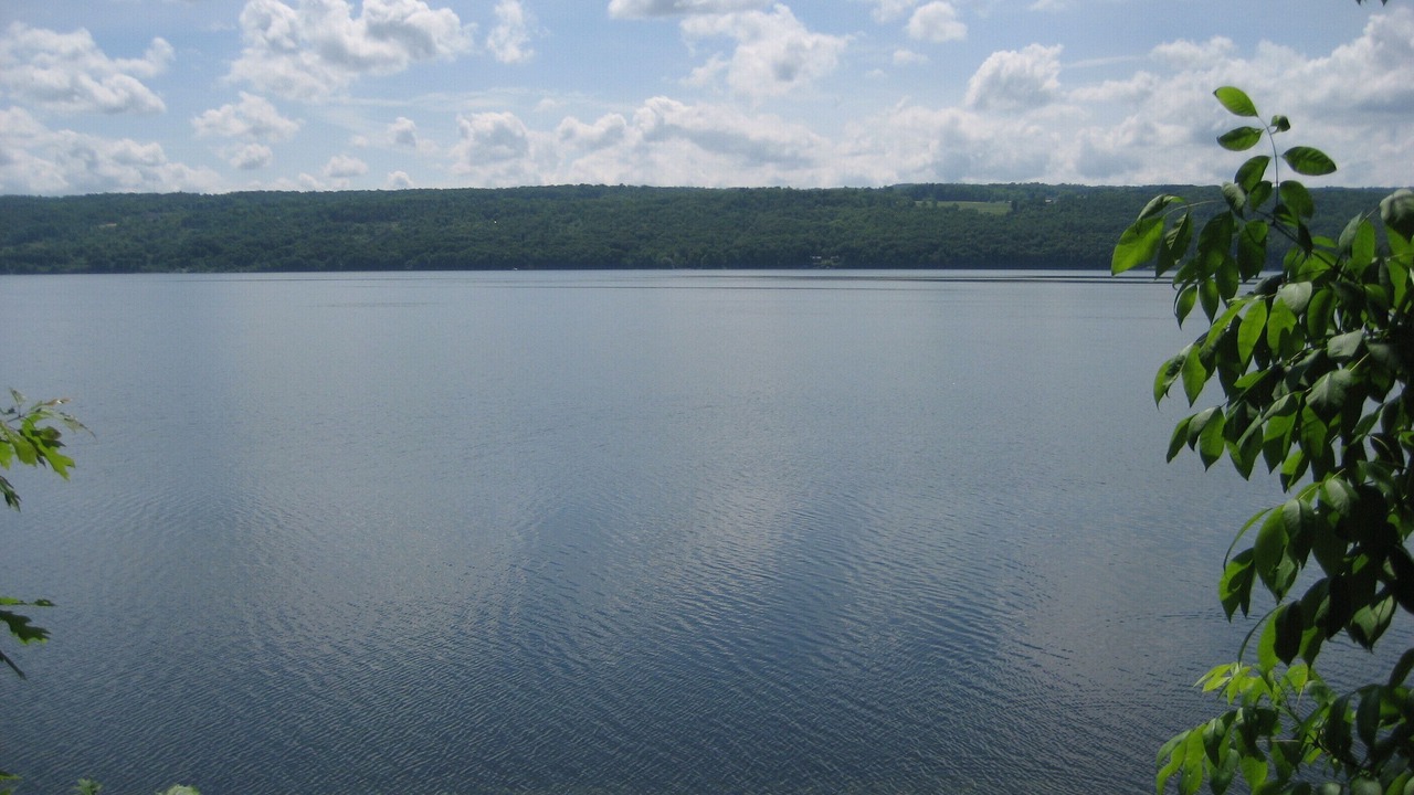 Photo of Outdoor in Burdett